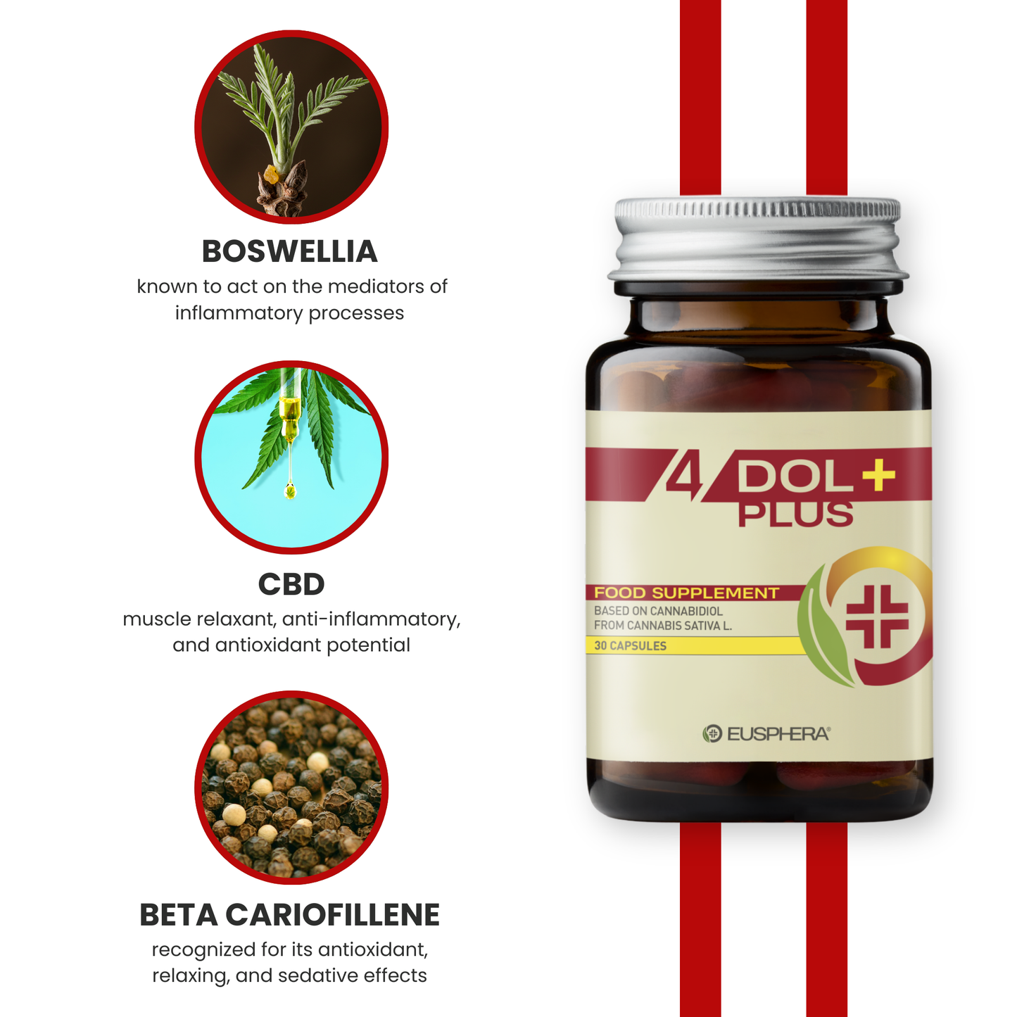 4DOL PLUS - Natural Supplement for Bones and Joints with Boswellia Serrata and PEA - 30 cps