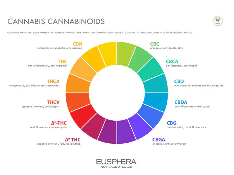 Cannabinoids: What They Are, Benefits, Risks, Uses, and Legal Status in Italy