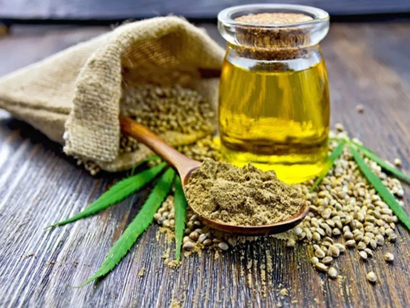 Hemp Seed Oil: complete guide to properties, uses and contraindications