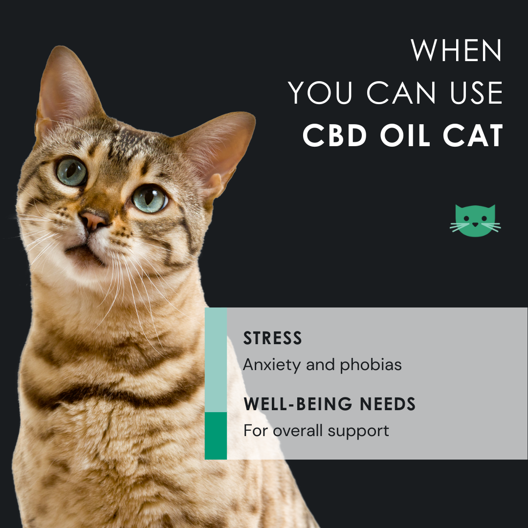 EU4CAT - Natural Soothing Oil for Cats Rich in Vitamins - 10 ml