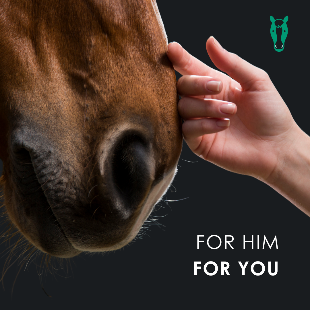 EU4HORSE - Horse Oil Rich in Vitamins for Well-Being and Vitality - 50 ml