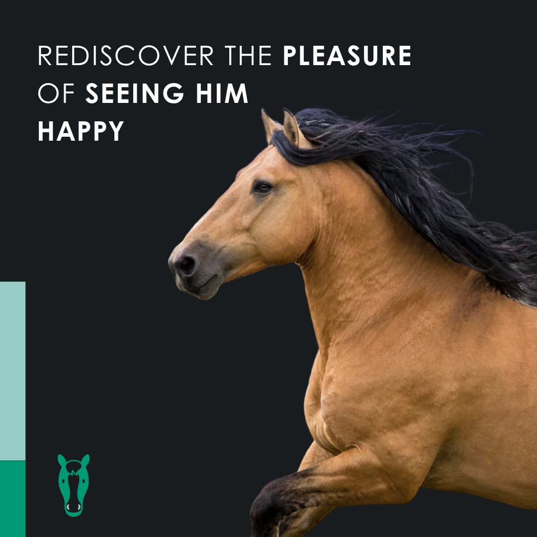 EU4HORSE - Horse Oil Rich in Vitamins for Well-Being and Vitality - 50 ml