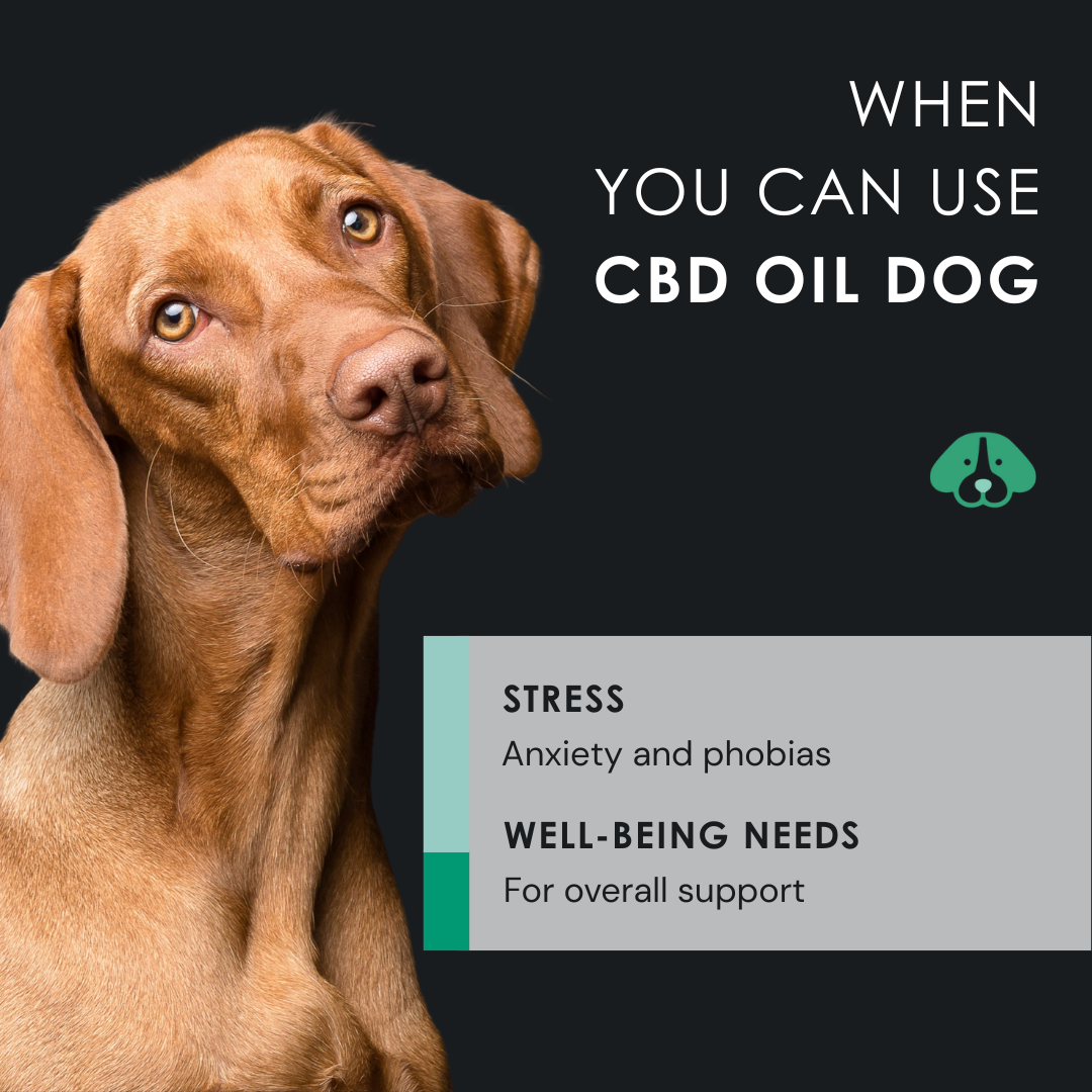 EU4DOG - Natural Soothing Oil for Dogs Rich in Vitamins - 30 ml