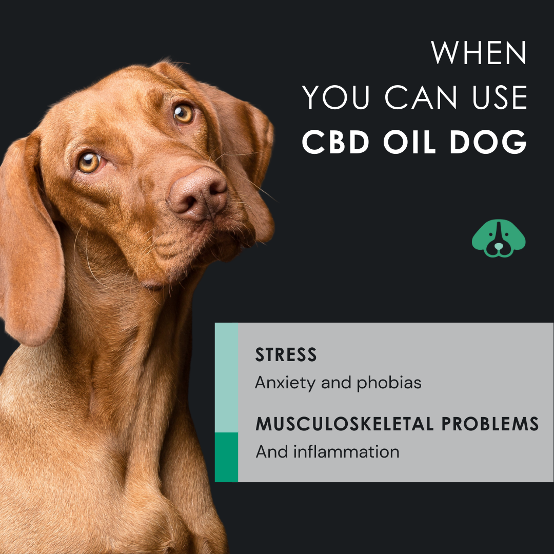 EU4DOG - Relaxing Oil for Dogs Rich in Vitamins - 30 ml