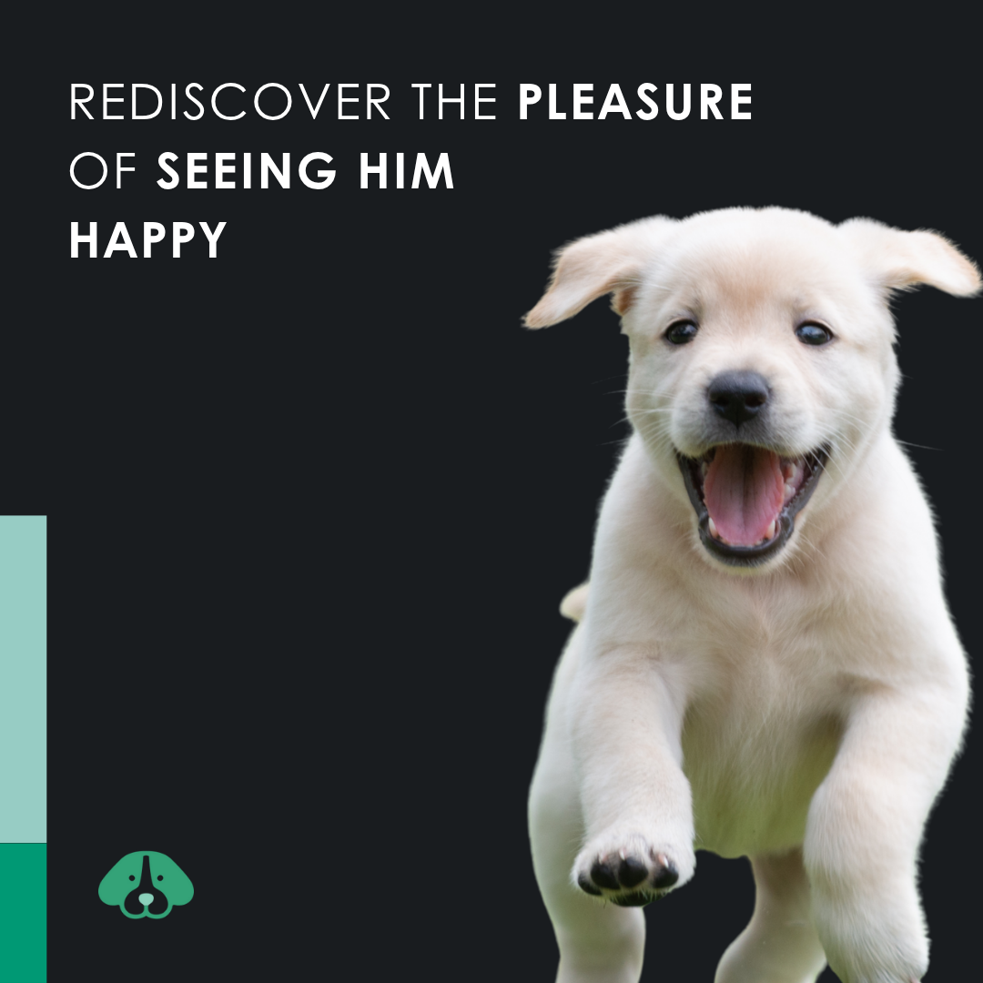 EU4DOG - Relaxing Oil for Dogs Rich in Vitamins - 30 ml