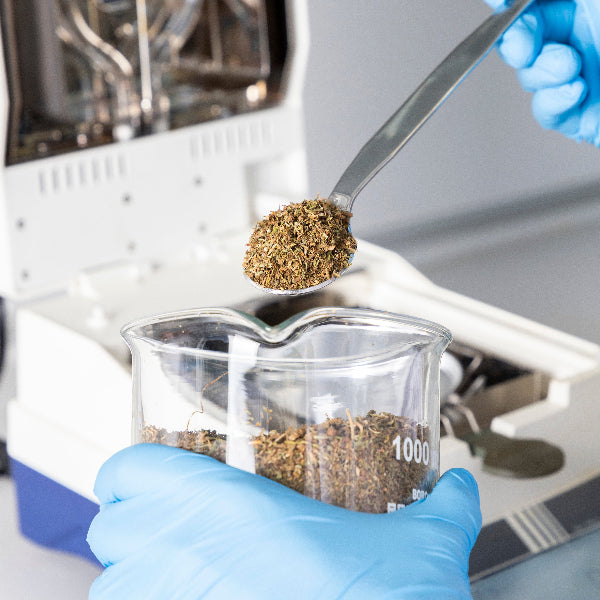 The excellence of CBD cosmetics