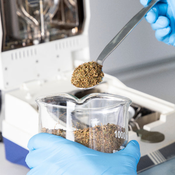 Safe, pure, and certified CBD